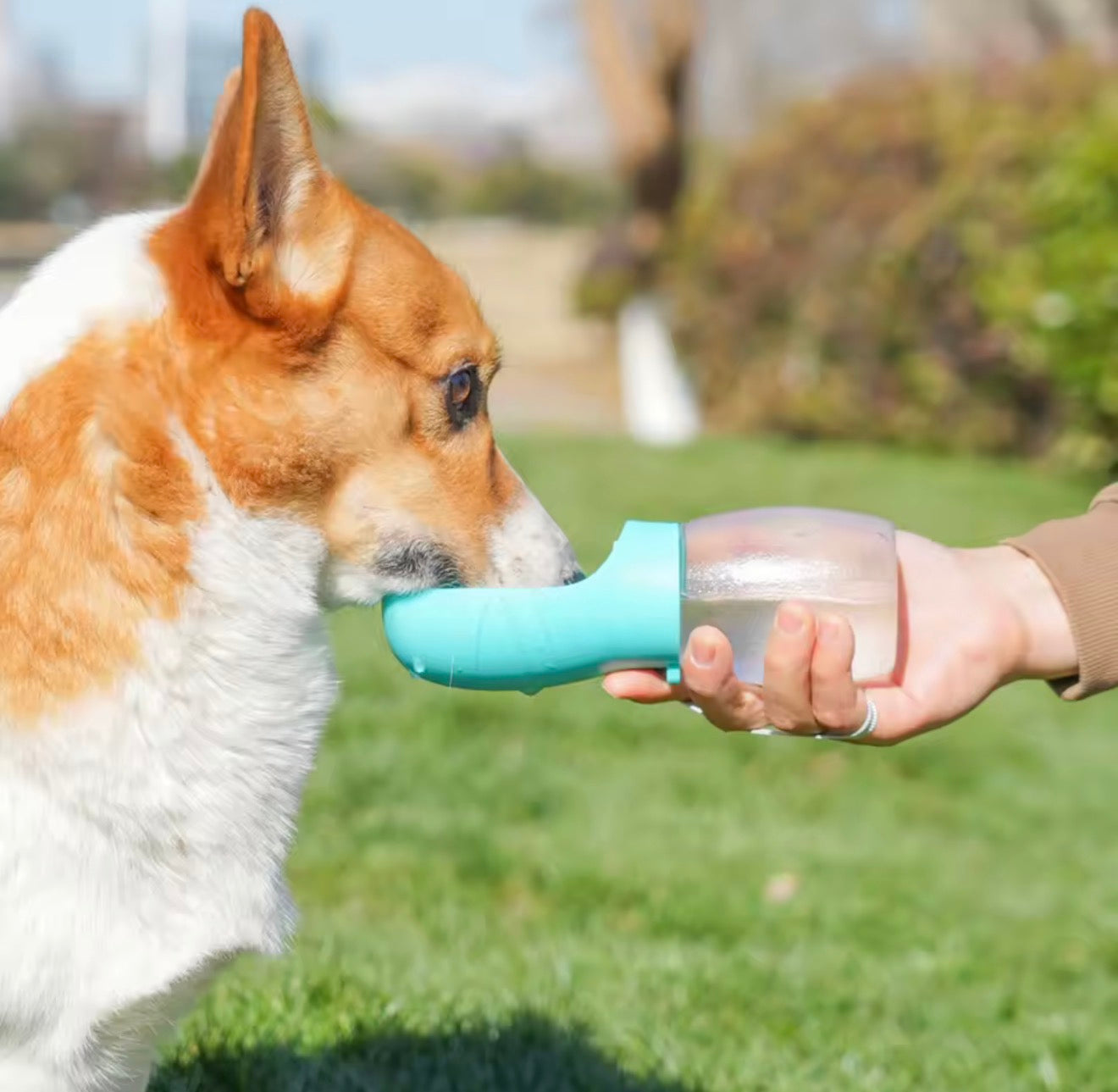 Hundetrinkflasche 300 ml